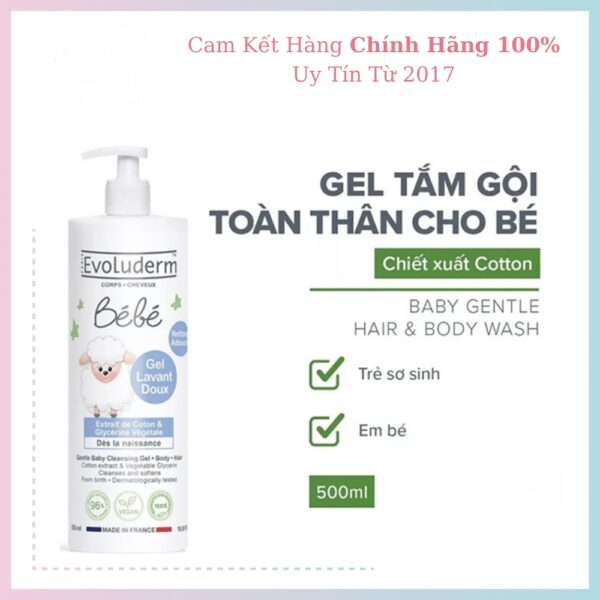 Gel tắm gội toàn thân cho bé 500ml Evoluderm - Image 7